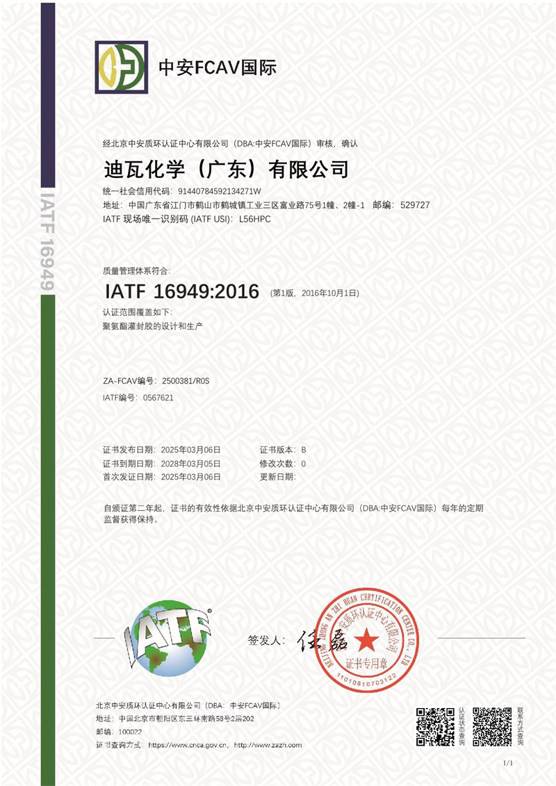 迪瓦化学（广东）有限公司_1.JPG